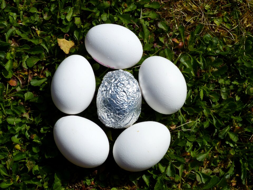 Easter eggs aluminium white photo