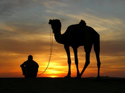 Dawn sun desert photo