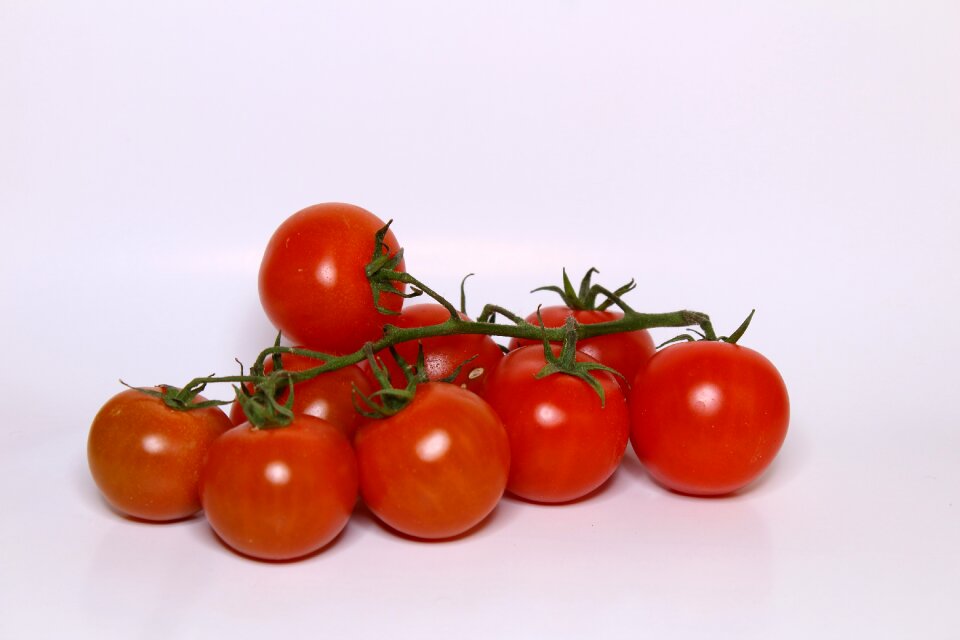 Solanum lycopersicum greet succulent