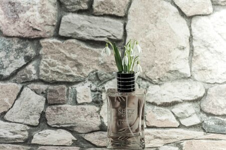 Bloom natural stone bottle