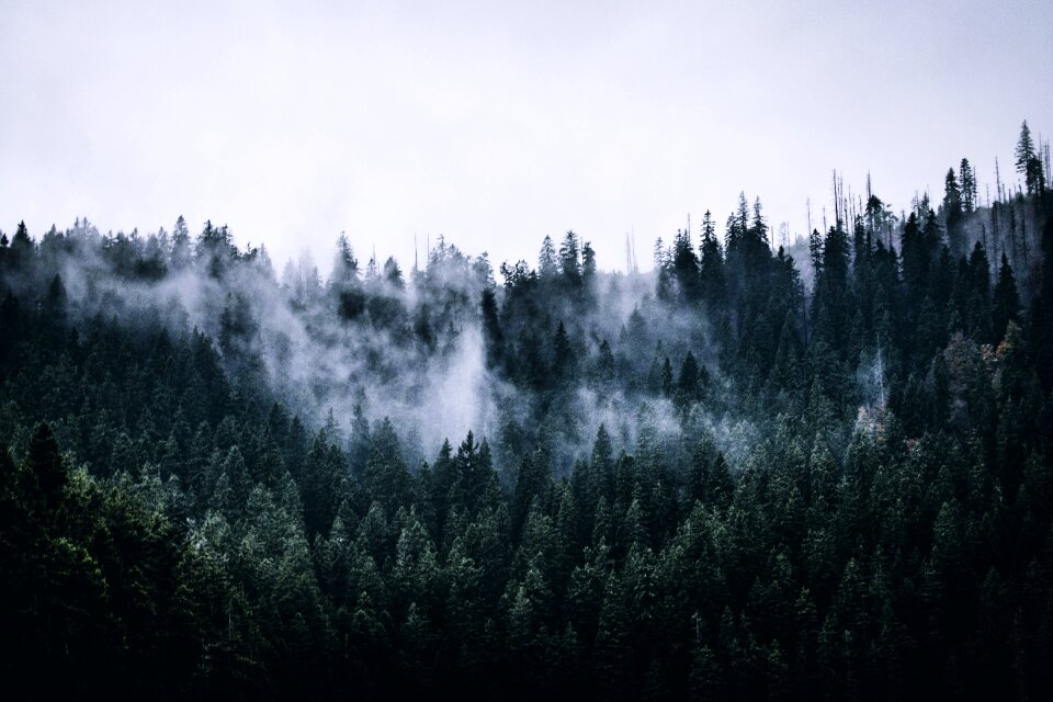 Nature landscape czech republic