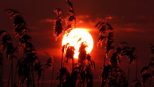 Dawn dusk evening
