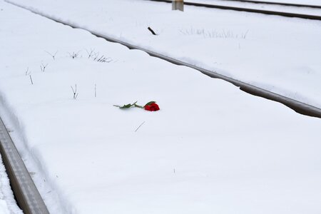 Lost love true love never dies love conquers all