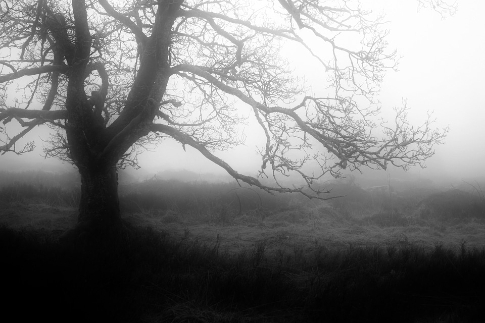 Weather mood mood nature