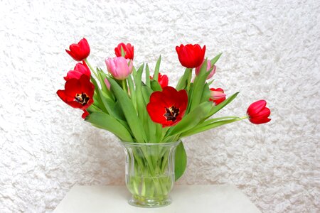 Tulip floral vase photo