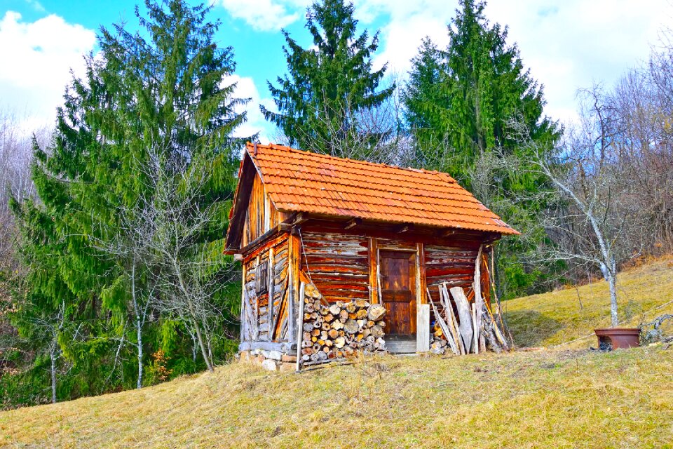 Nature wooden cabin