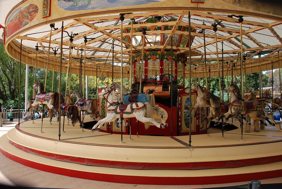 Fun amusement horses