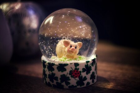 Ball pig lucky pig