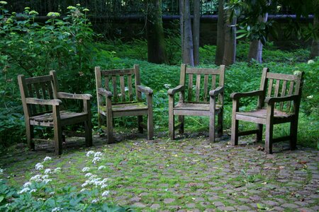 Leaf bank chairs