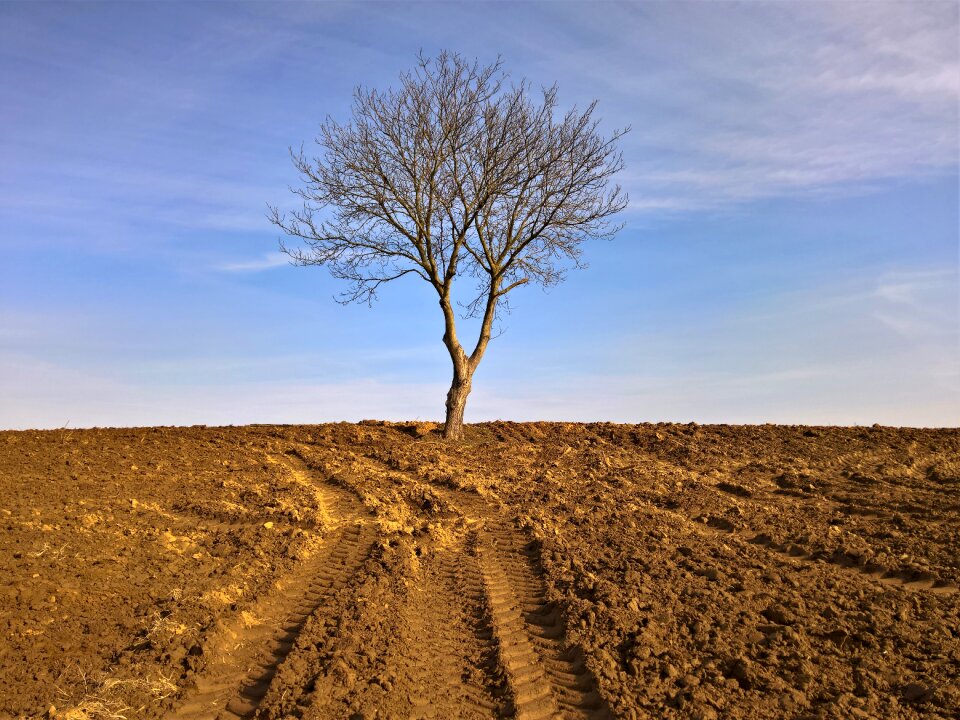 Nature soil agriculture
