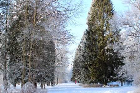 Snow leann coldly photo