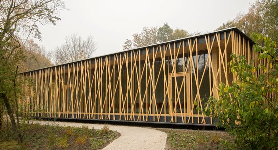 Architecture house building