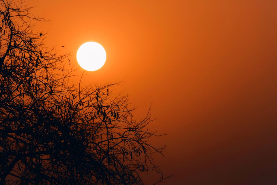 Dawn fair weather silhouette