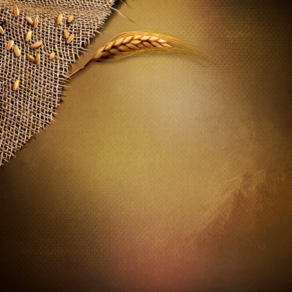 Golden background Free photos