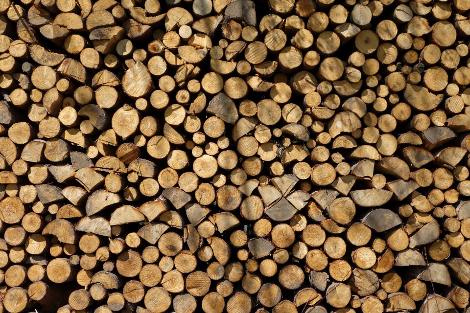 Dry texture firewood