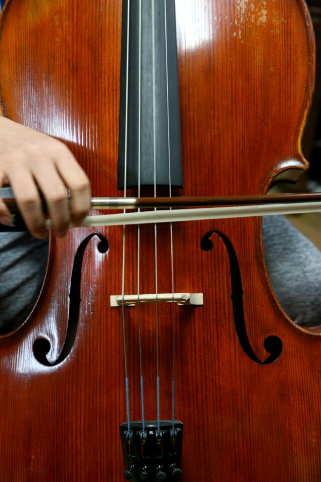 Music classical music cello