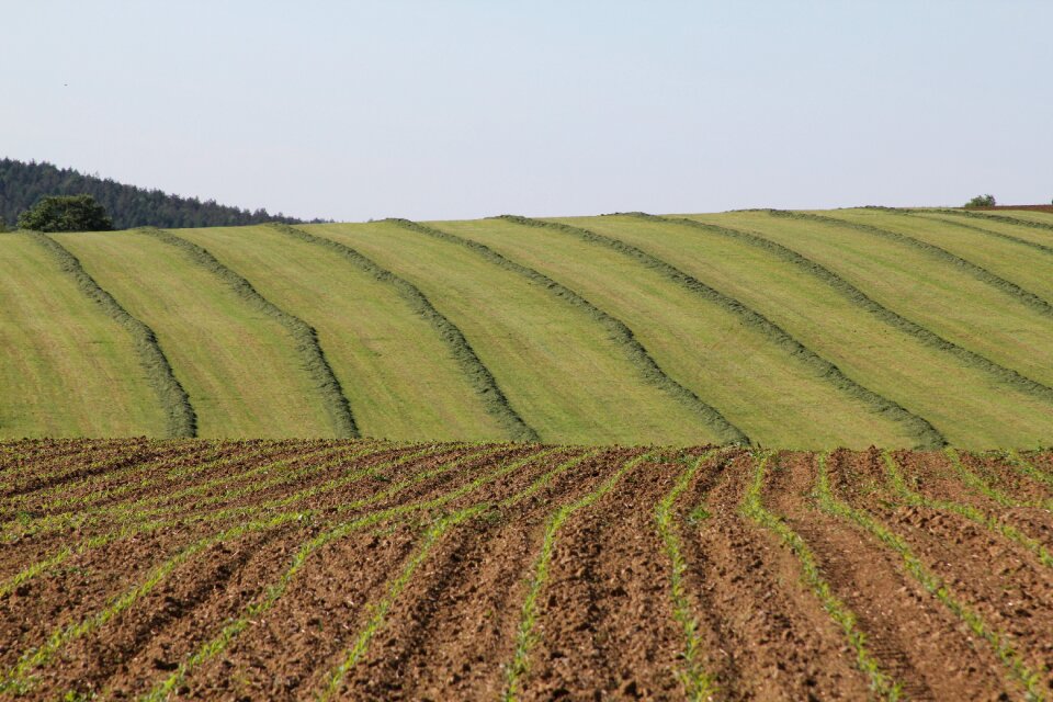 Field farm rural