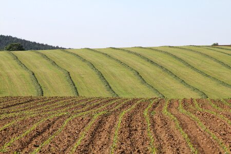 Field farm rural photo