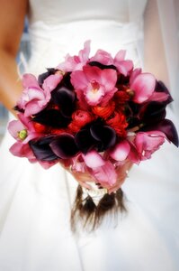 Bouquet desktop color