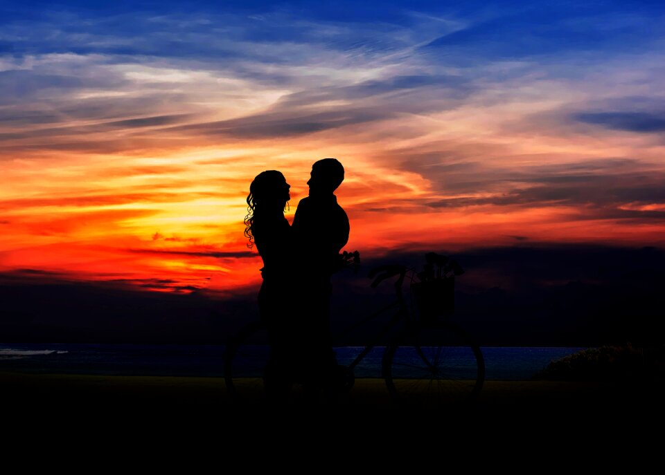 Backlit evening silhouetted photo