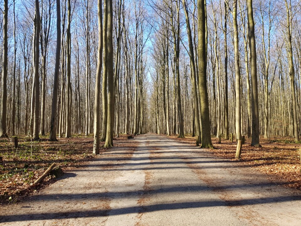 Guidance landscape belgium