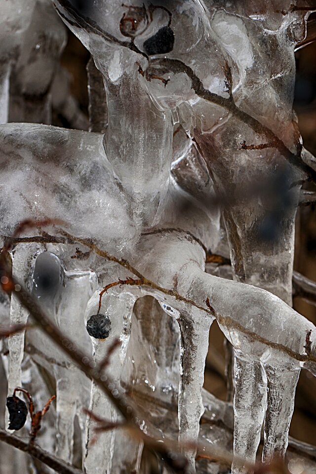 Winter ice