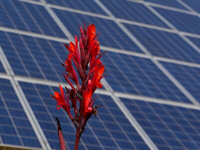 Photovoltaic ecology energy