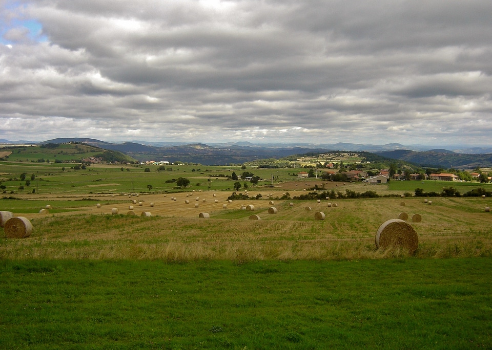 Field landscape harvest