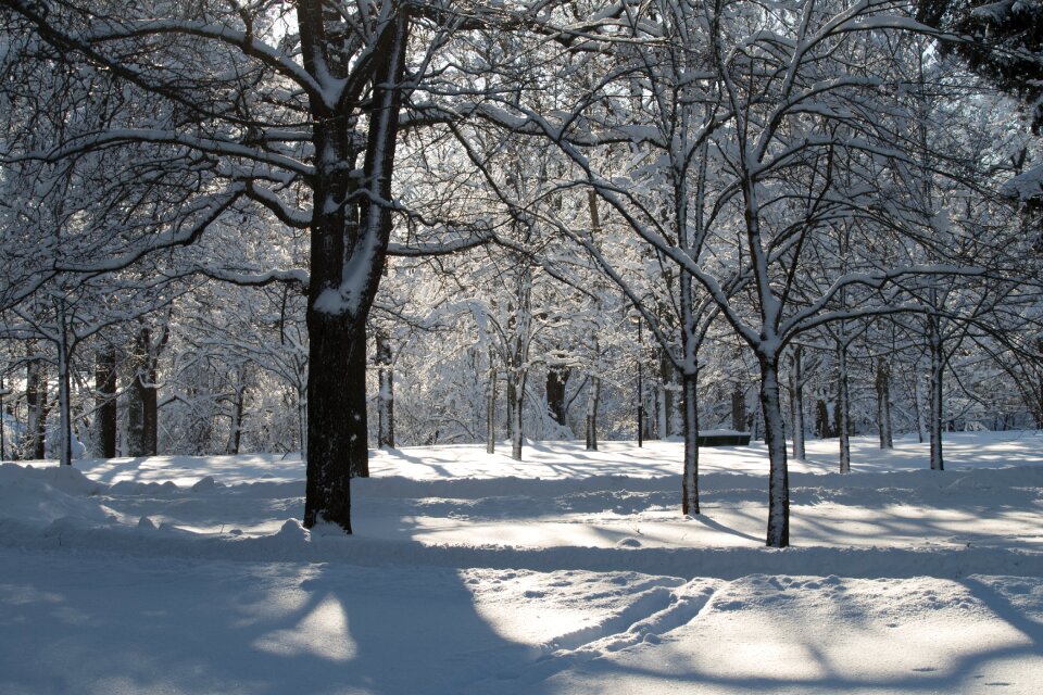 Frost season cold