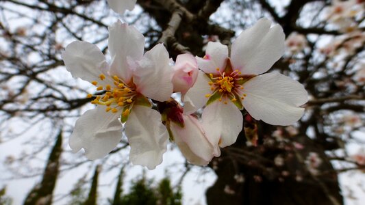 Nature season plant