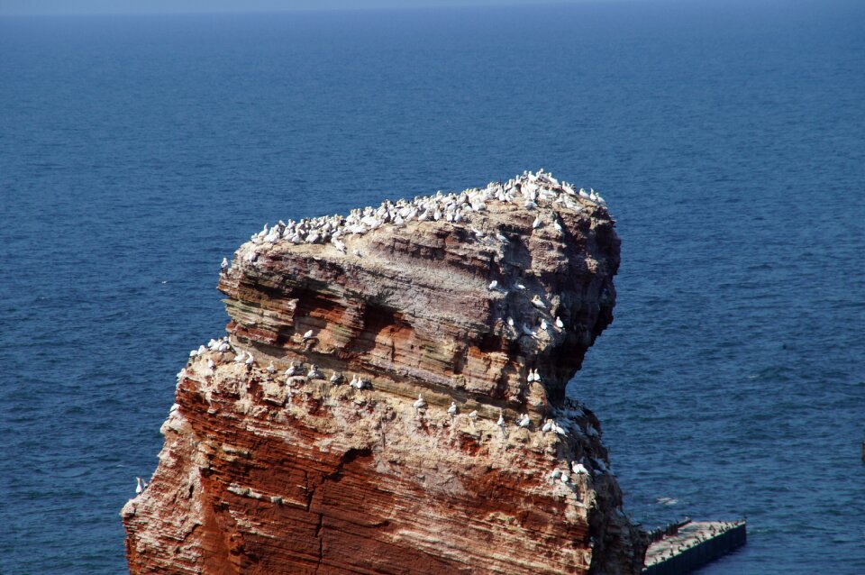 Travel nature helgoland