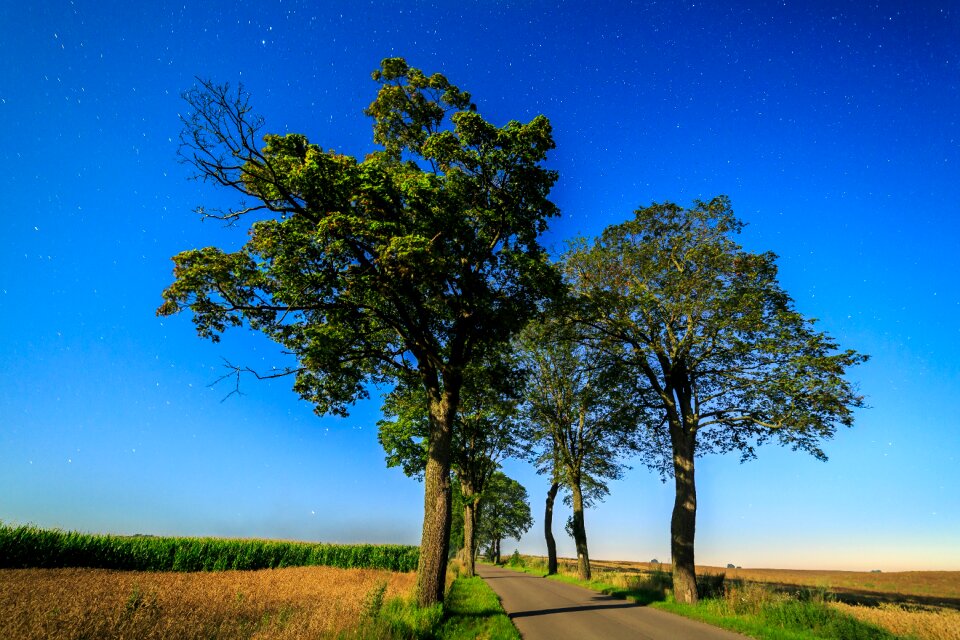 Sky at the court of panoramic
