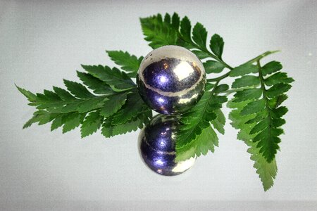 Flora nature ball