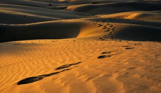 Sand desert beach photo