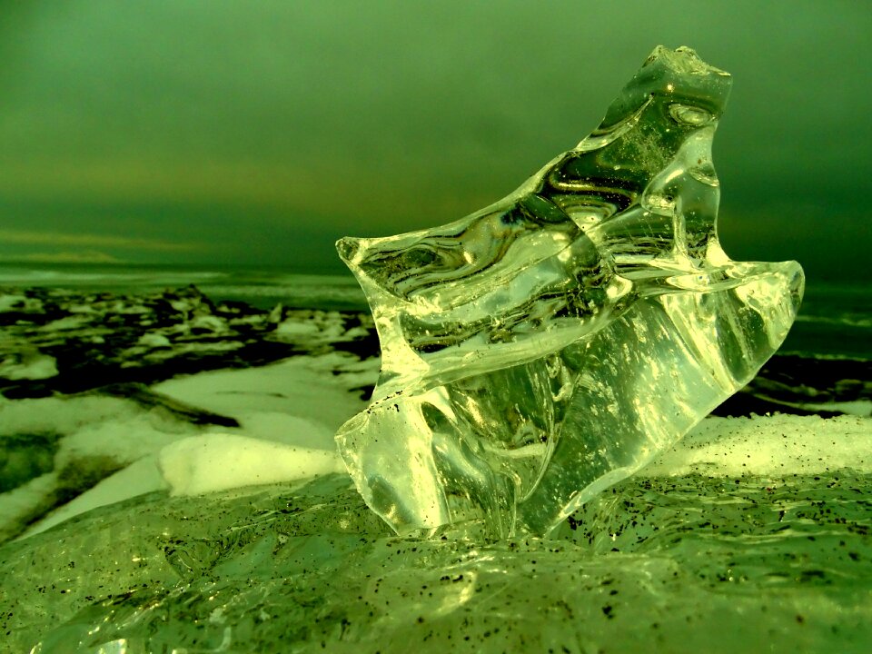 Frost cold landscape