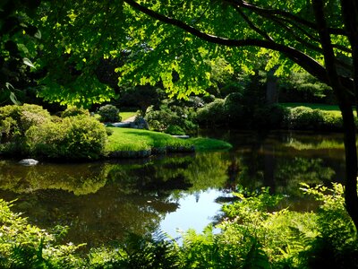 Nature meditation garden green