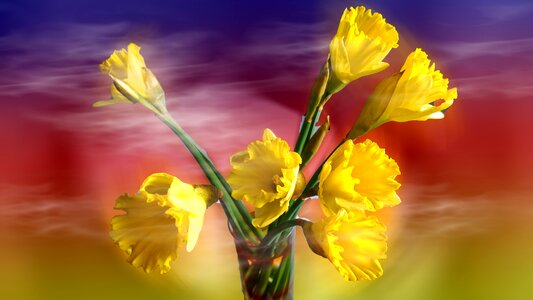 Plant season bright