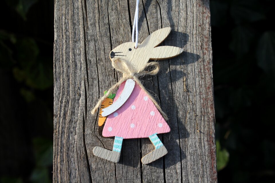 Decoration wooden nature