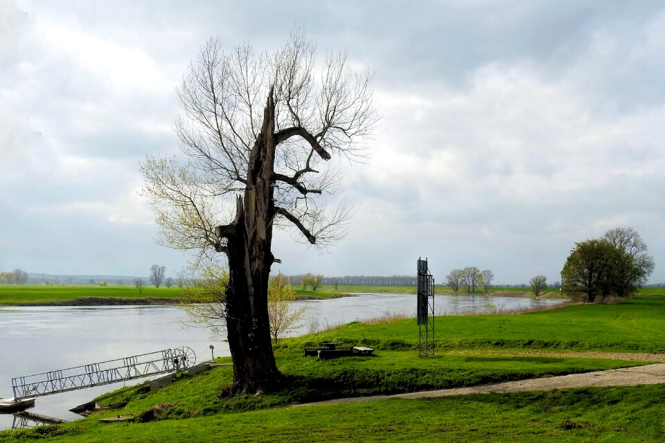 Grass waters river