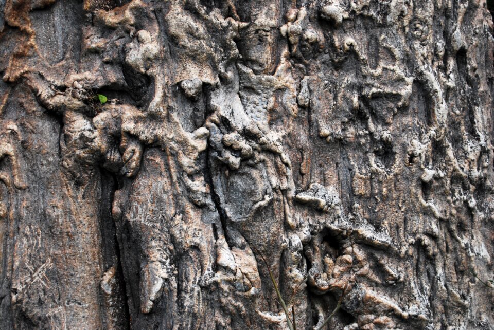 Pattern old wood