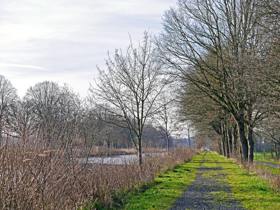 Dead arm towpath protected landscape area