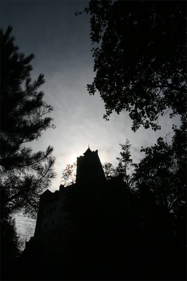 Dracula vlad silhouette