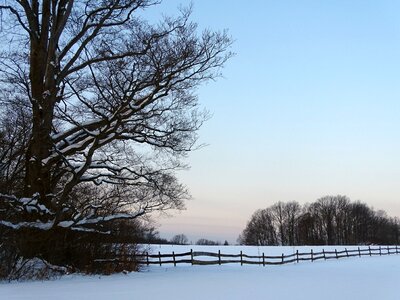 Wood snow cold