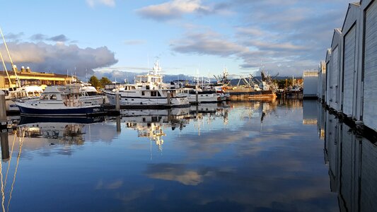 River panoramic bellingham