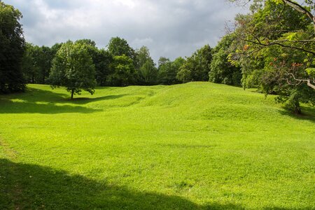 Tree lawn field photo