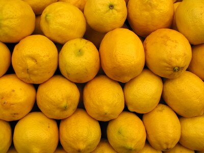 Lemon health grow