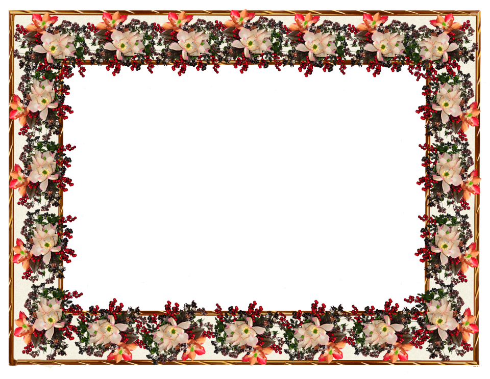 Design border greeting card