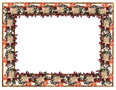 Design border greeting card