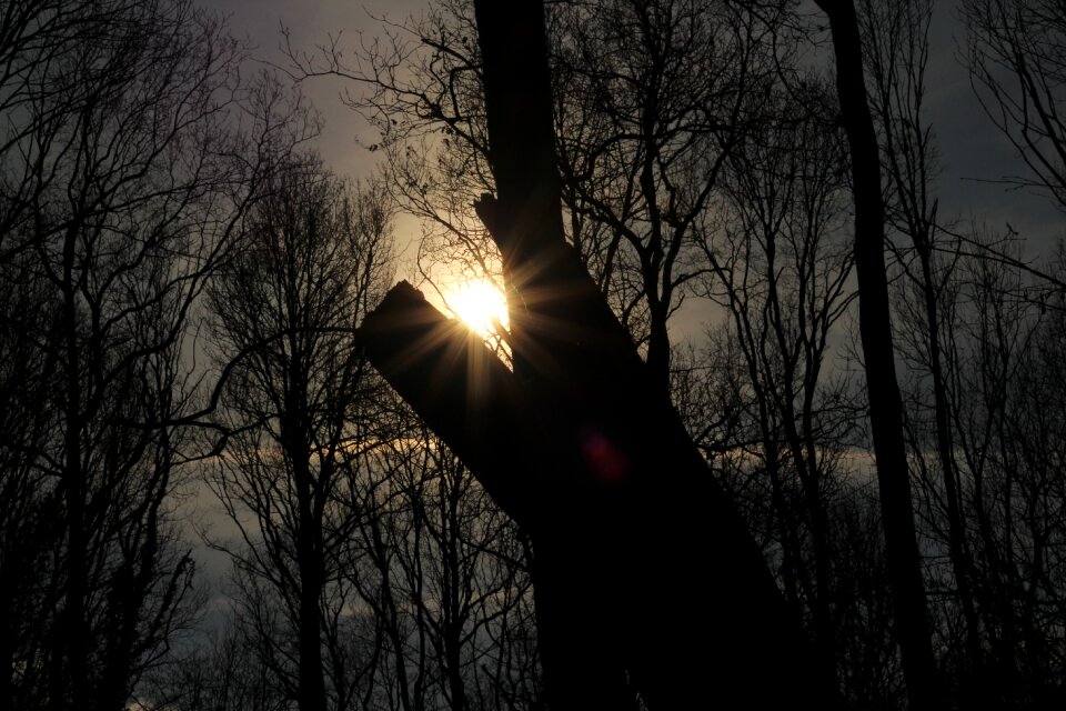 Darkness sun night