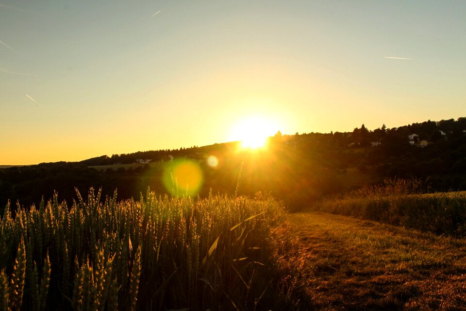 Sun nature background